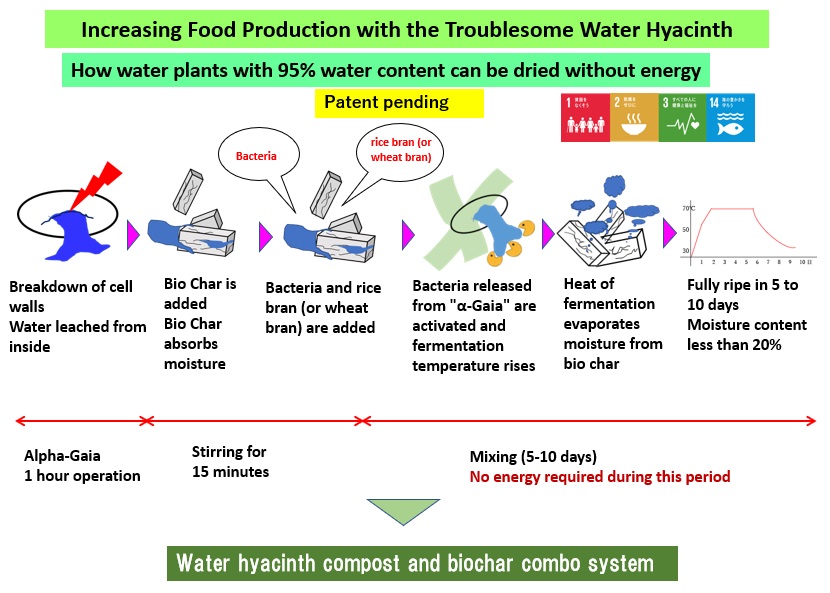 Cutting Edge How water plants with 95% water content can be dried without energy