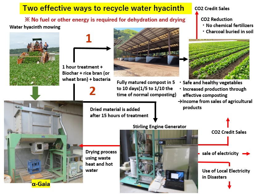 Cutting Edge Two effective ways to recycle water hyacinth